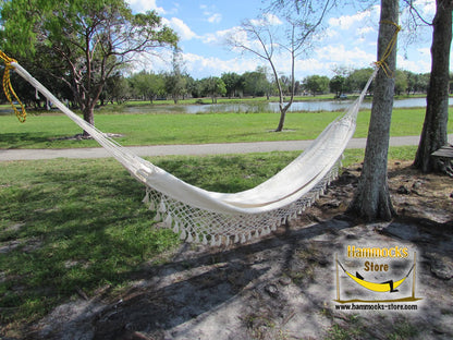 The Cali Hammock – Elegance and Comfort, Perfect for Any Occasion